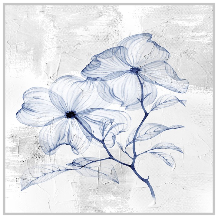 תמונה פרח כחול על לבן מסגרת לבנה 82X82