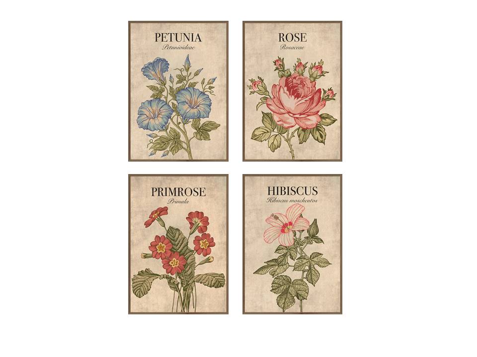 מקבץ 4 תמונות פרחים על רקע קלף