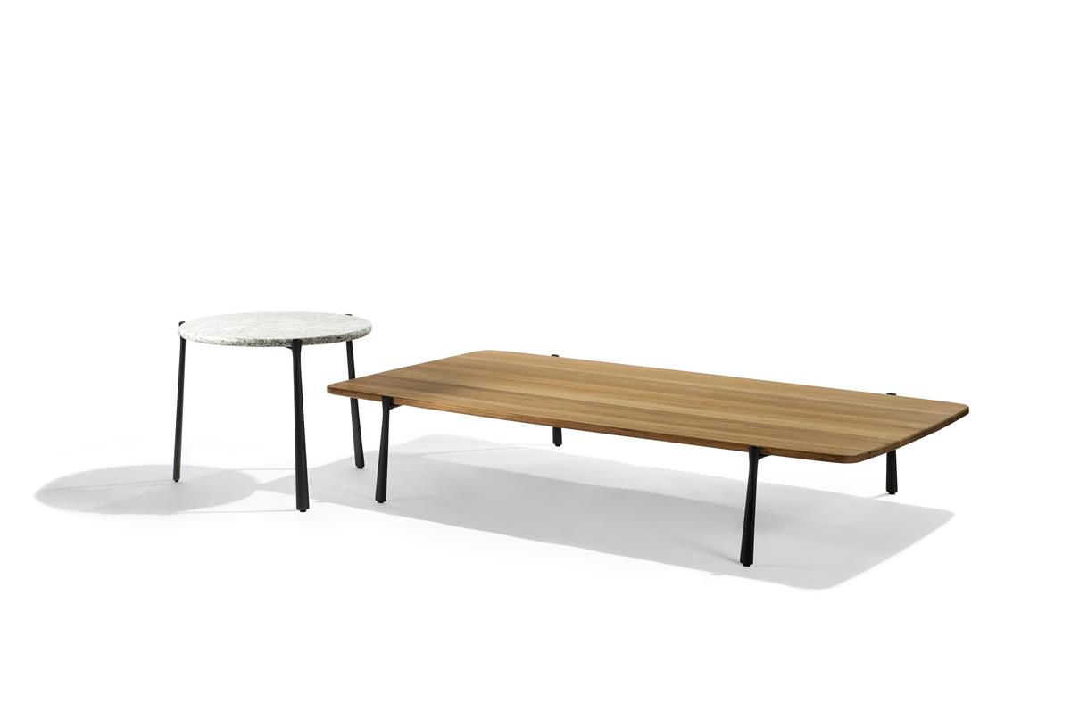 BRANCH low table