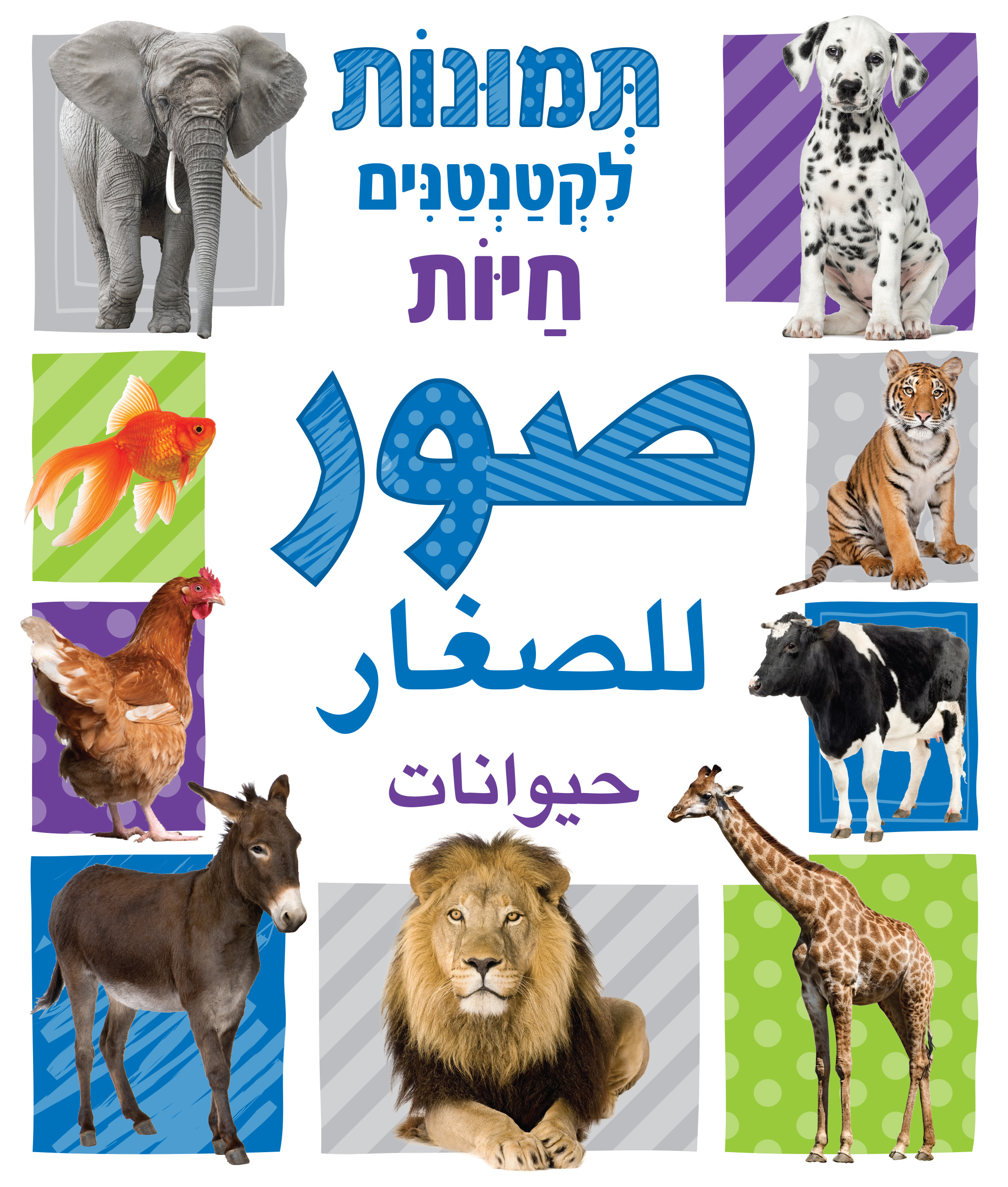 תמונות לקטנטנים - חיות - בערבית