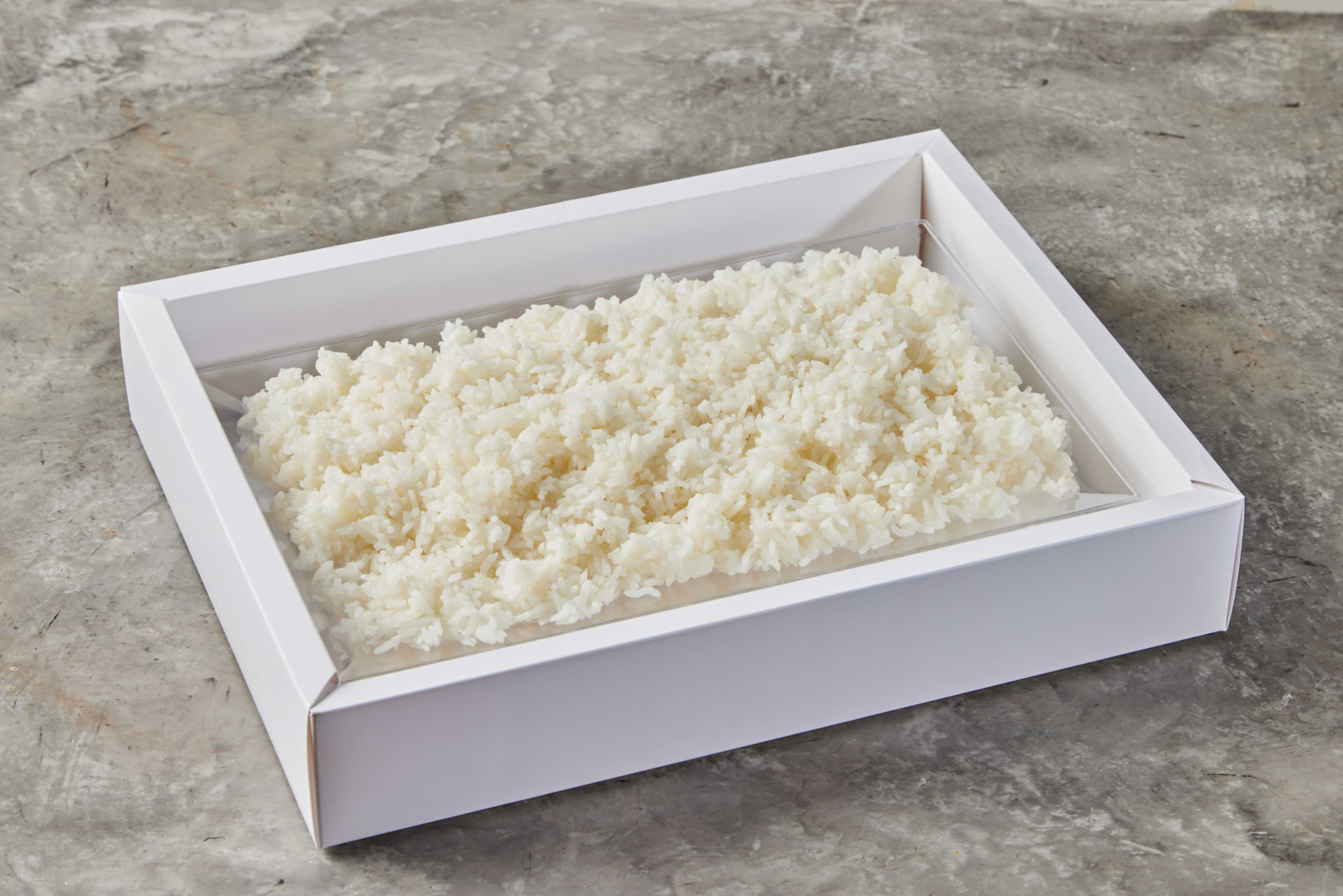 מגש אורז לבן 
