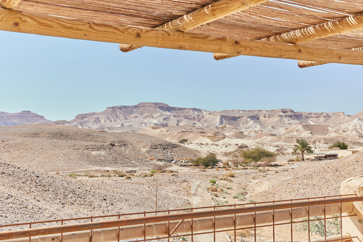 הנוף מגג הבית במדברא