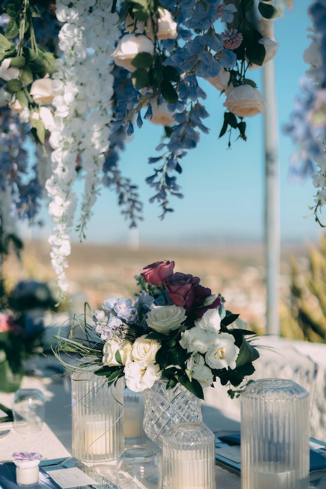 חתונה צמחונית בטבע – כרמלה יגור